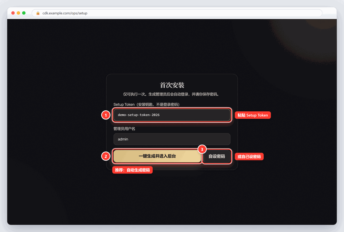 首次安装向导(Token 和域名为示例)