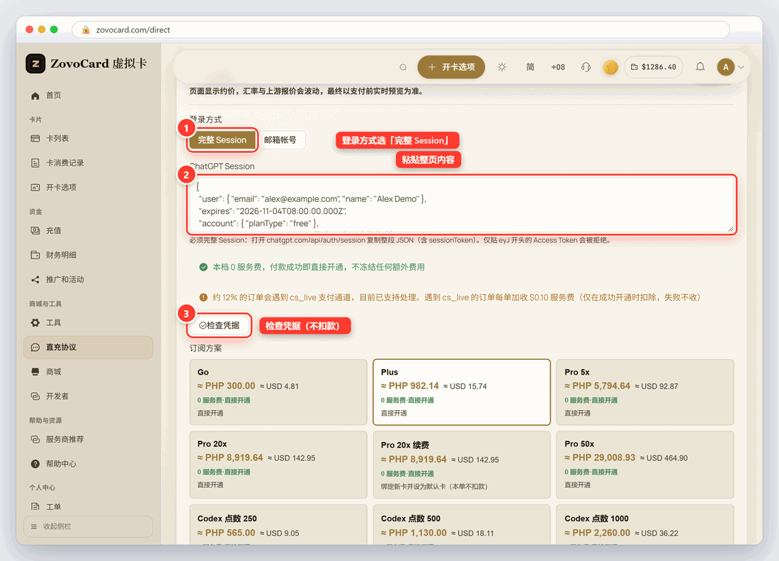 粘贴 Session 后检查凭据（图中 Session 为示例）